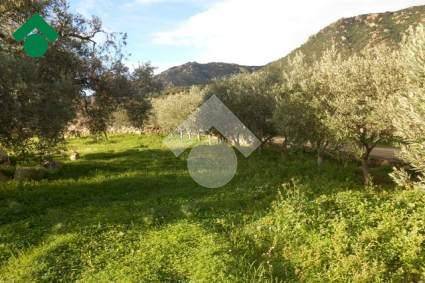 Terreno a Villasimius in località su pranu - Foto 2