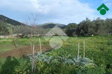 Terreno a Villasimius in località su pranu - Foto 4