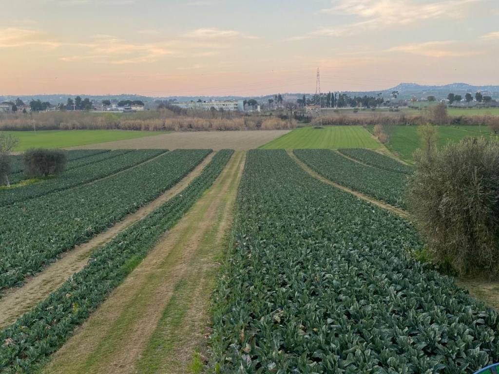 Terreno a Alba adriatica in Via del Vecchio Forte, 48 - Foto 2