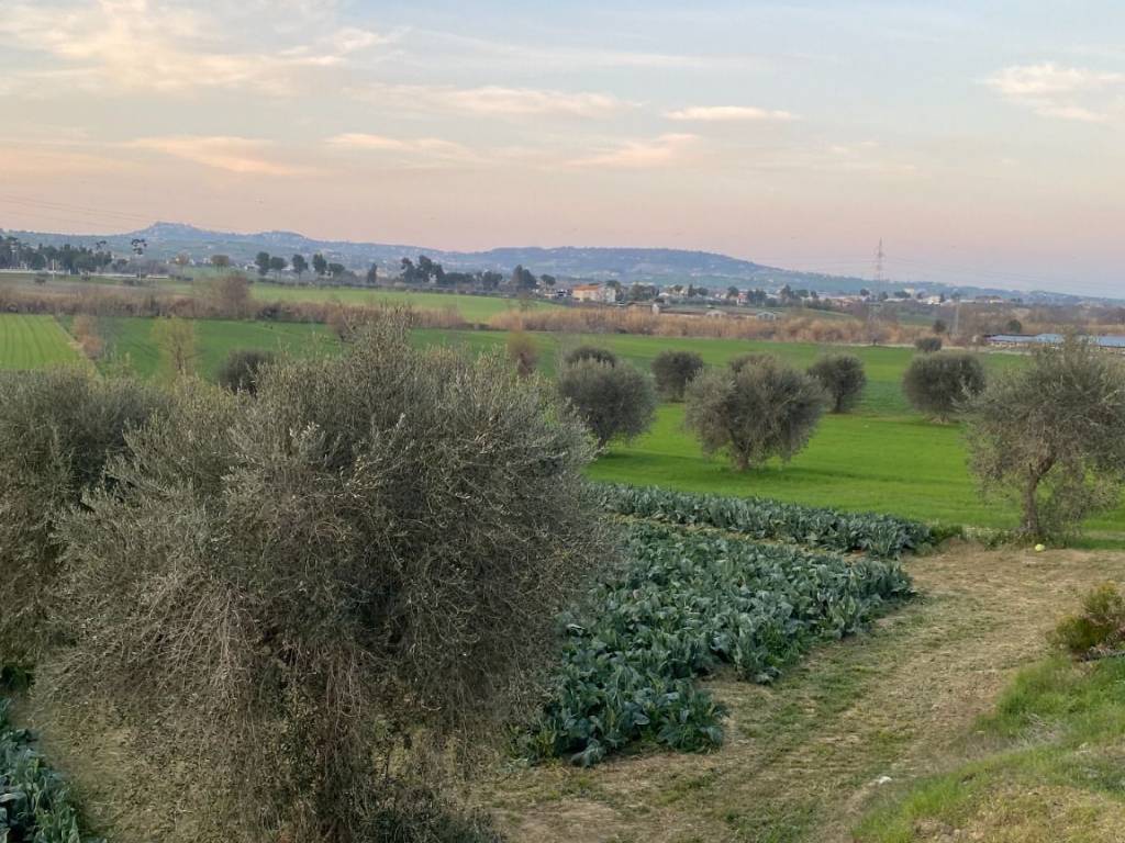 Terreno a Alba adriatica in Via del Vecchio Forte, 48 - Foto 4