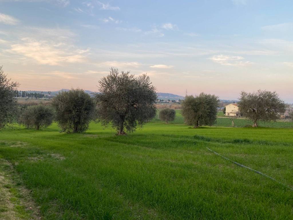 Terreno a Alba adriatica in Via del Vecchio Forte, 48 - Foto 5