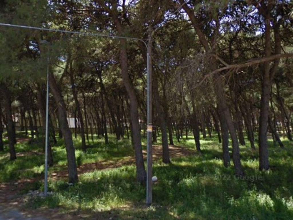 Terreno a Pulsano in Viale delle Orchidea - Foto 4