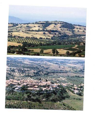 Immobile a Magliano in toscana - Foto 2