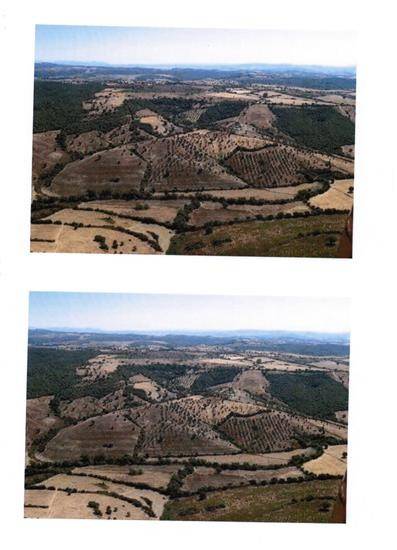 Immobile a Magliano in toscana - Foto 3