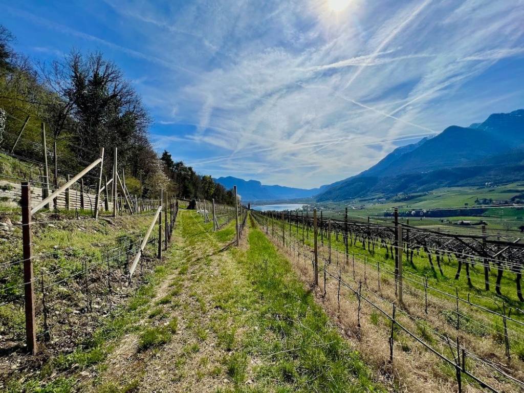 Terreno a Caldaro sulla strada del vino - Foto 2