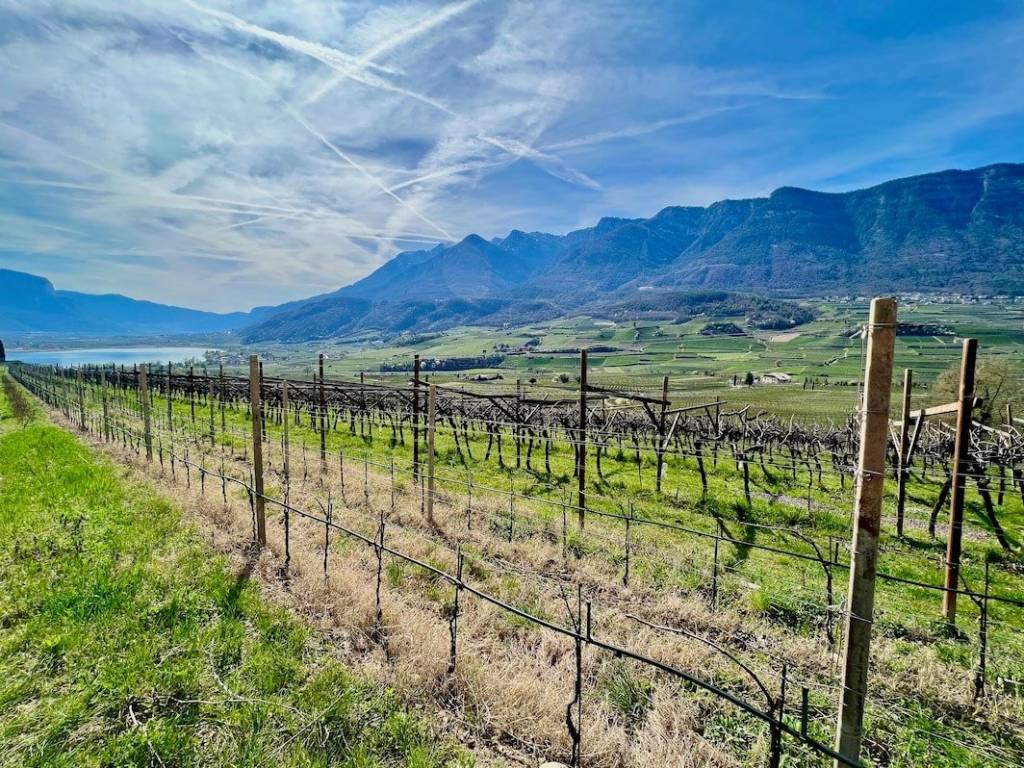 Terreno a Caldaro sulla strada del vino - Foto 3
