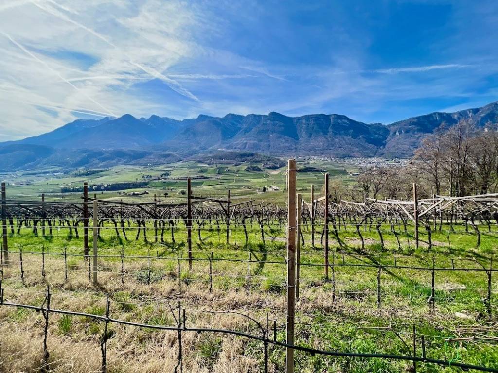 Terreno a Caldaro sulla strada del vino - Foto 4