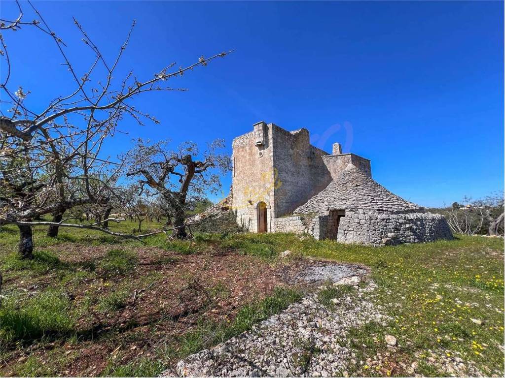 Rustico / casale a Monopoli - Foto 4