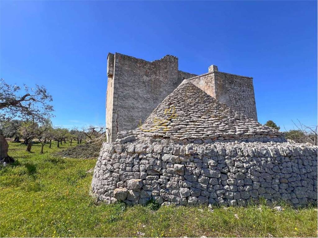 Rustico / casale a Monopoli - Foto 5