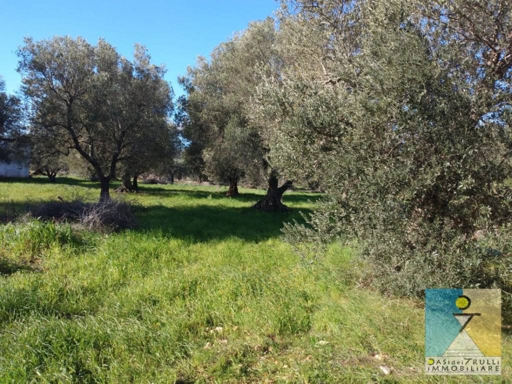Terreno a Carovigno in Contrada Belvedere - Foto 2
