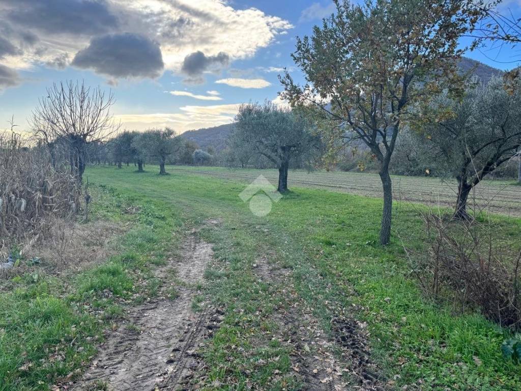 Rustico / casale a Sesto campano in viale Volturno - Foto 4