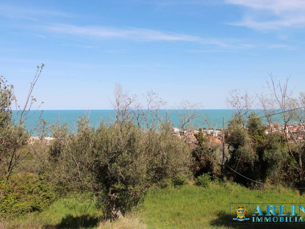 Rustico / casale a Silvi in SP29 - Foto 2