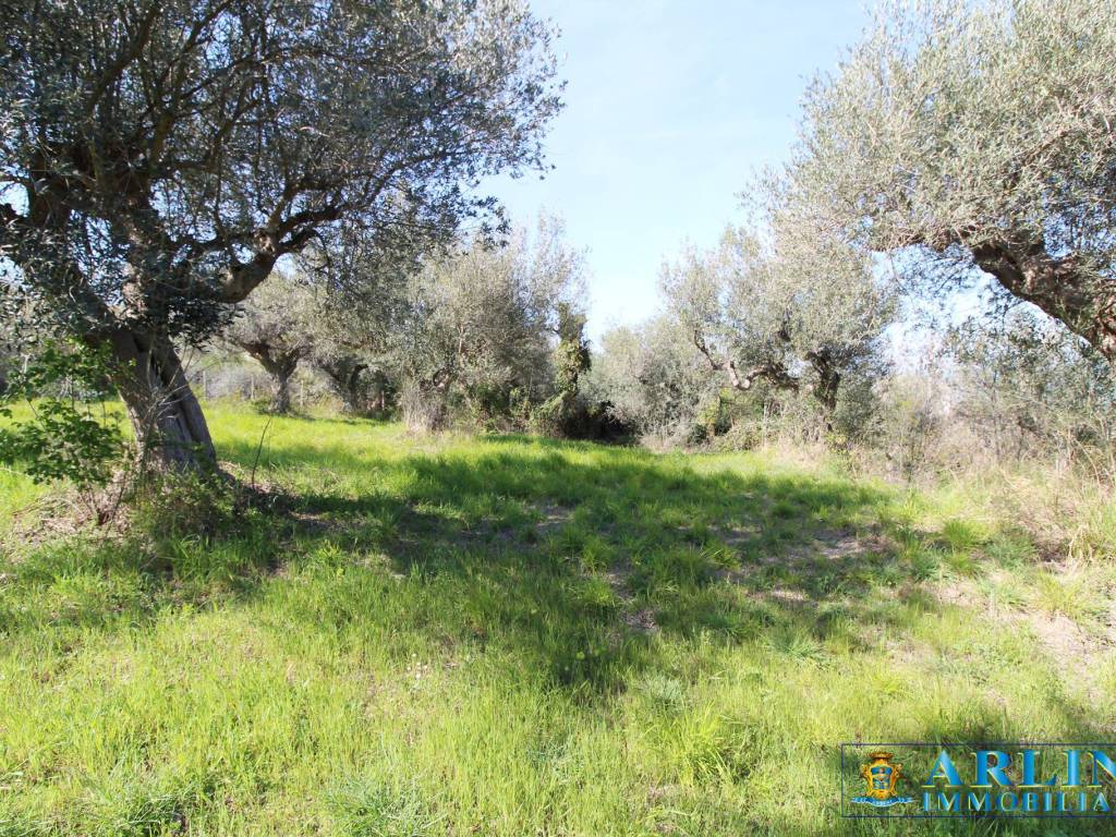 Rustico / casale a Silvi in SP29 - Foto 3