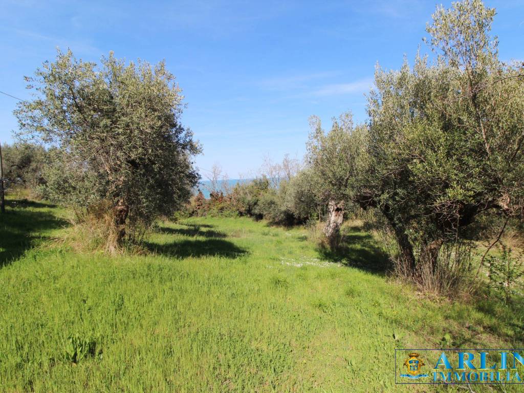 Rustico / casale a Silvi in SP29 - Foto 5