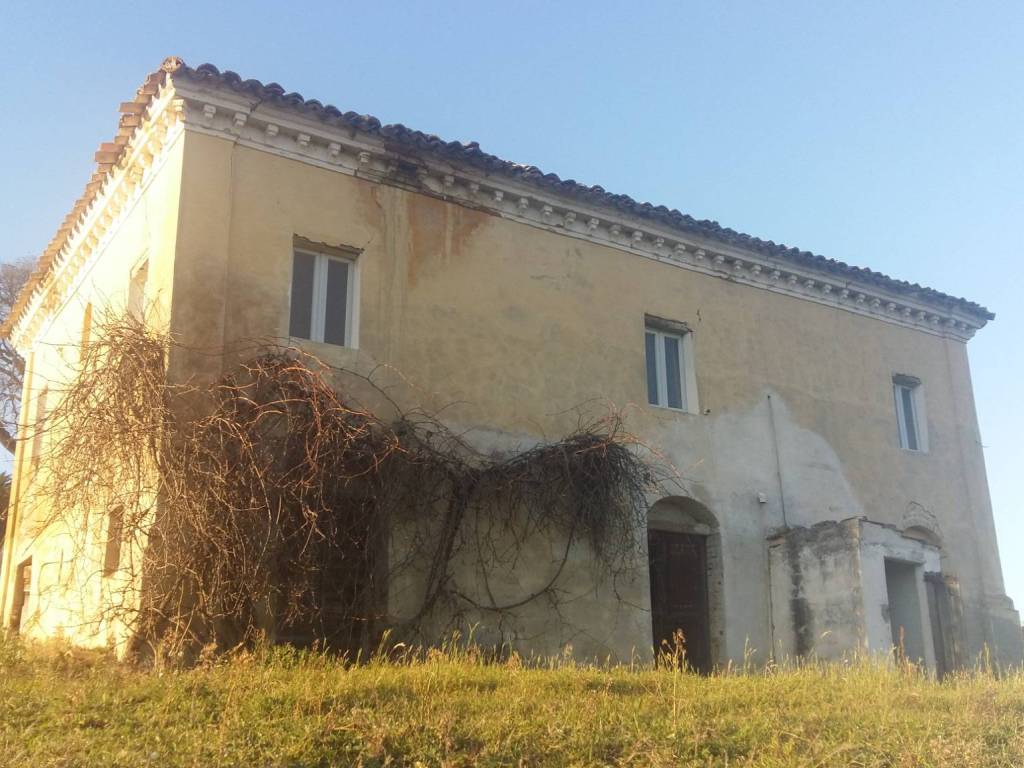 Rustico / casale a Montegranaro in Contrada San Tommaso - Foto 2
