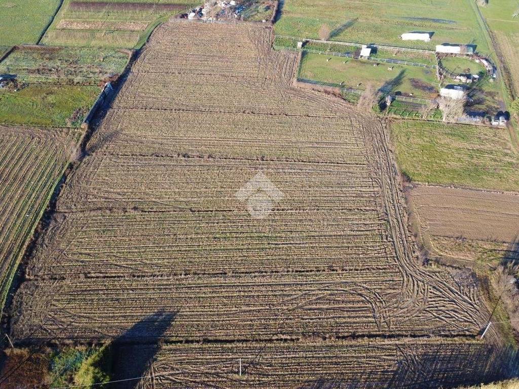 Terreno a Agliana in Terreno Agricolo Via Lungo Calice, 49 - Foto 2