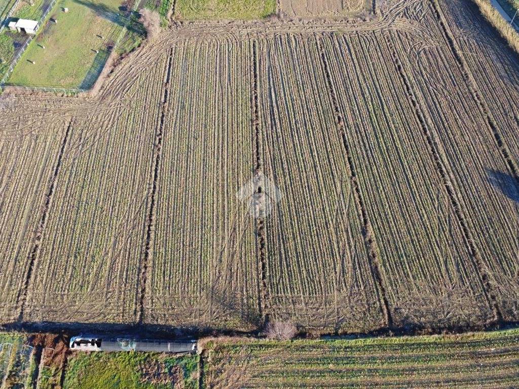 Terreno a Agliana in Terreno Agricolo Via Lungo Calice, 49 - Foto 3