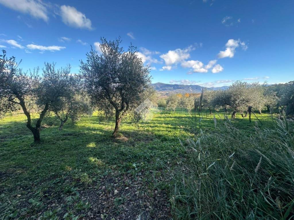 Terreno a Narni in Strada di fabrucciano - Foto 3