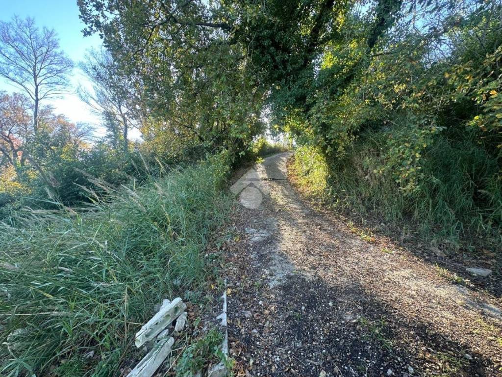 Terreno a Narni in Strada di fabrucciano - Foto 4