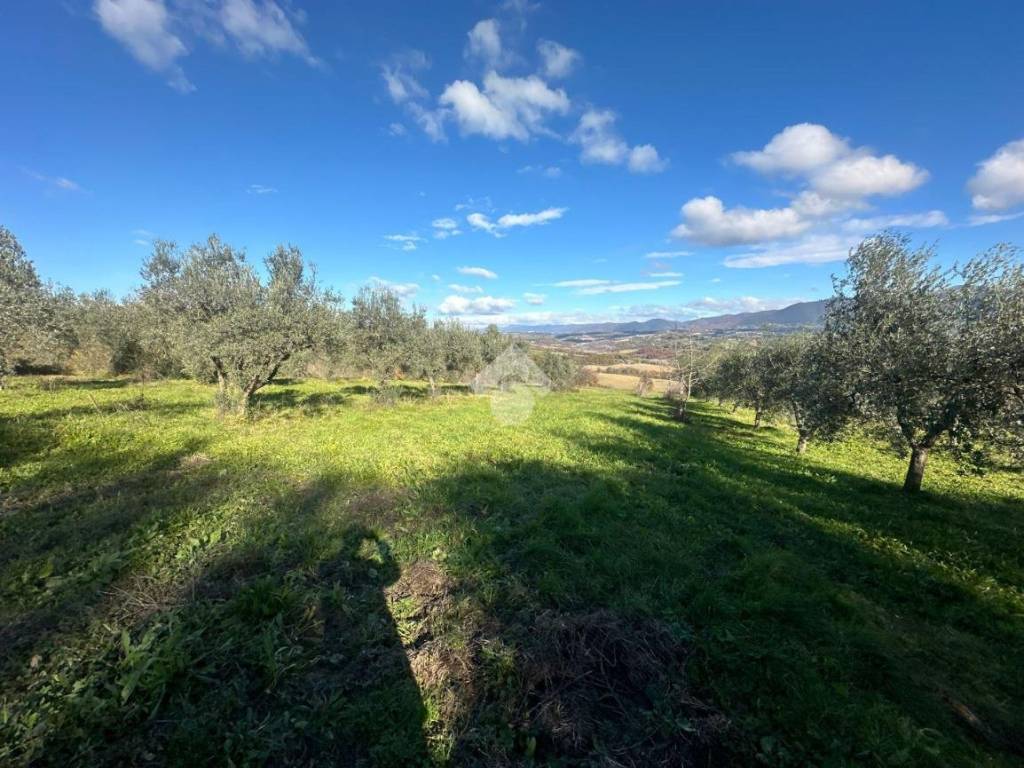 Terreno a Narni in Strada di fabrucciano - Foto 5