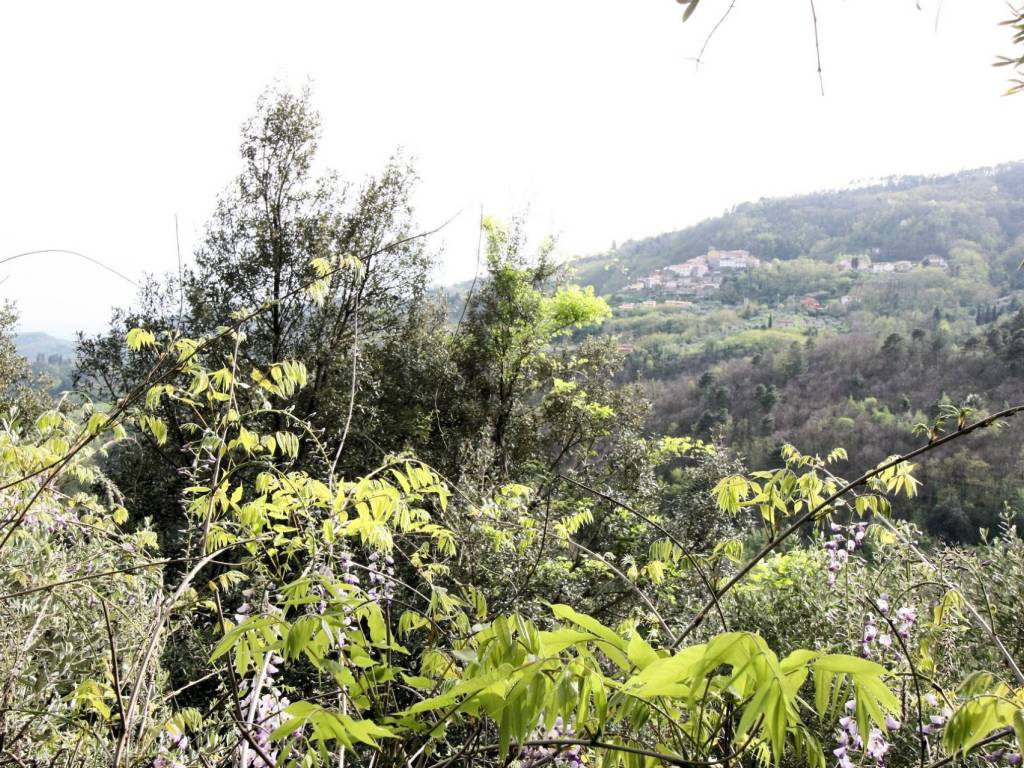 Rustico / casale a Marliana - Foto 5