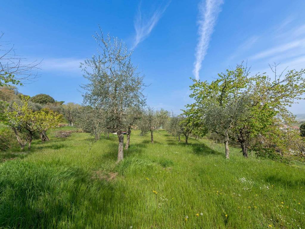 Rustico / casale a Sinalunga - Foto 2