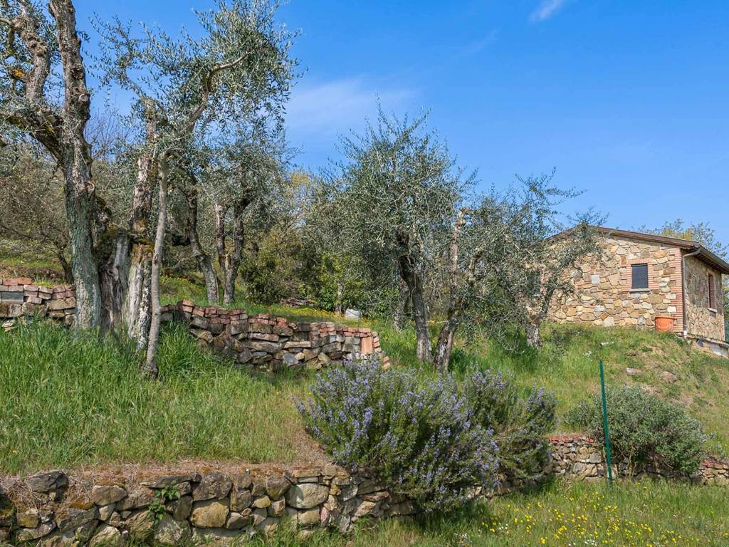 Rustico / casale a Sinalunga - Foto 3