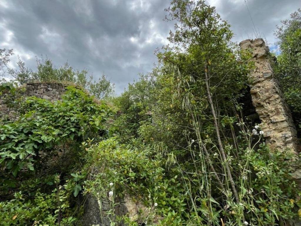 Rustico / casale a Suvereto in Strada Provinciale dei Quattro Comuni - Foto 4