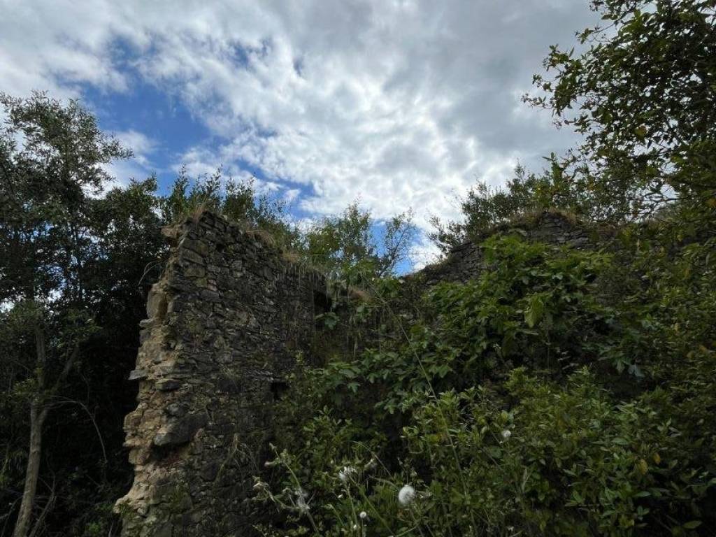 Rustico / casale a Suvereto in Strada Provinciale dei Quattro Comuni - Foto 5