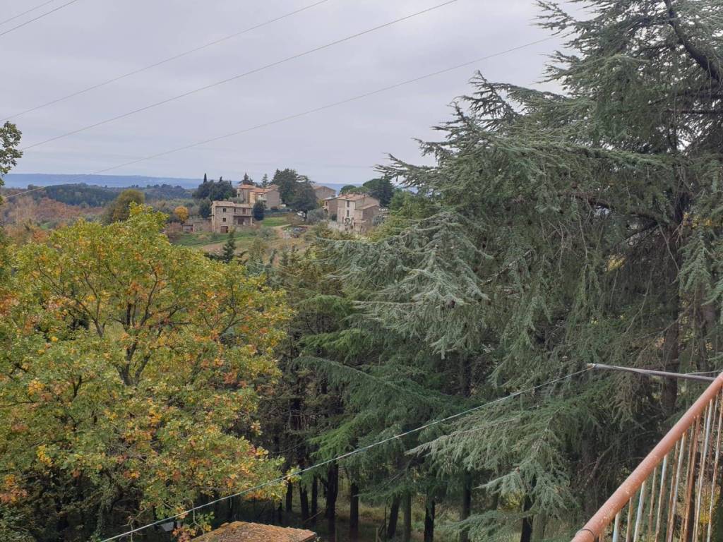 Rustico / casale a San venanzo - Foto 3