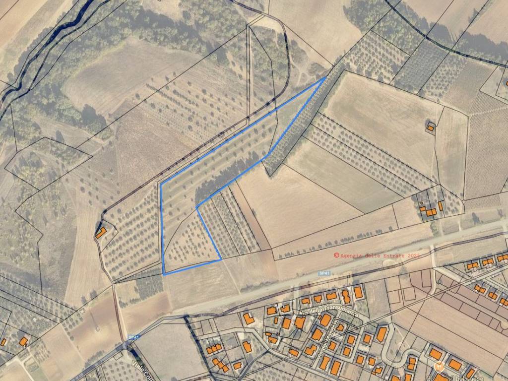 Terreno a Rosciano in Strada Comunale del Tratturo - Foto 3