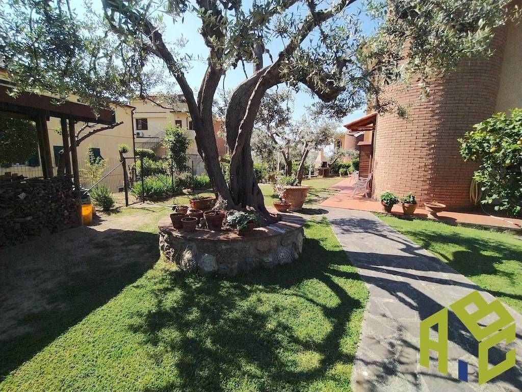 Casa indipendente a Rosignano marittimo - Foto 2