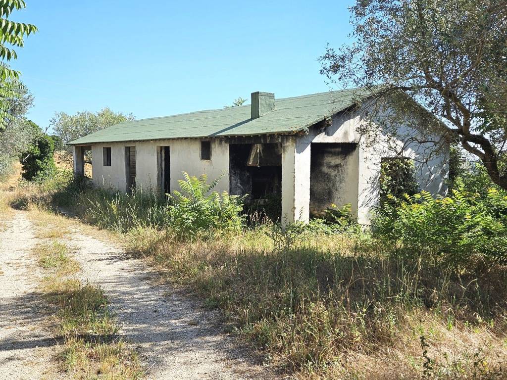 Rustico / casale a Rosciano in Strada Comunale del Tratturo - Foto 4
