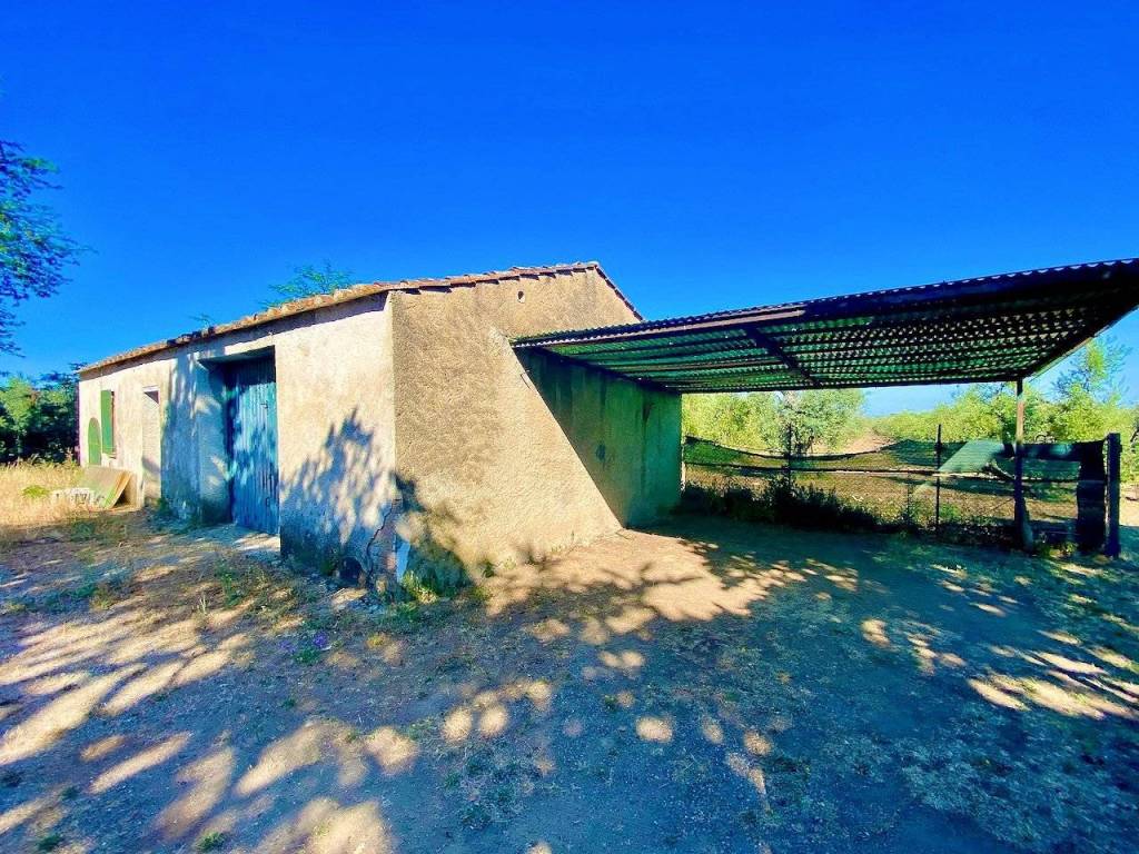 Rustico / casale a Castagneto carducci - Foto 5