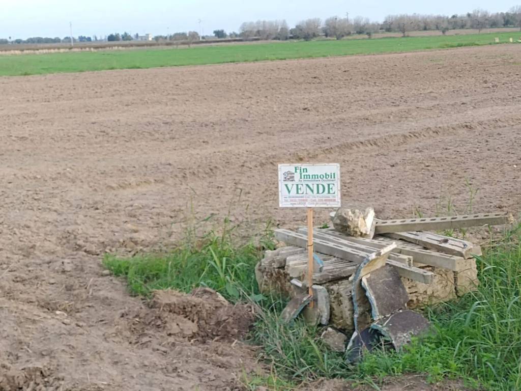 Terreno a Salice salentino in Strada Provinciale 107, 3 - Foto 2