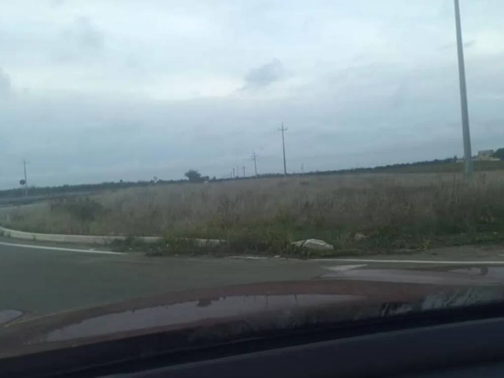 Terreno a Guagnano in Incrocio Guagnano-San Donaci-Cellino San Marco S.N.C. - Foto 2