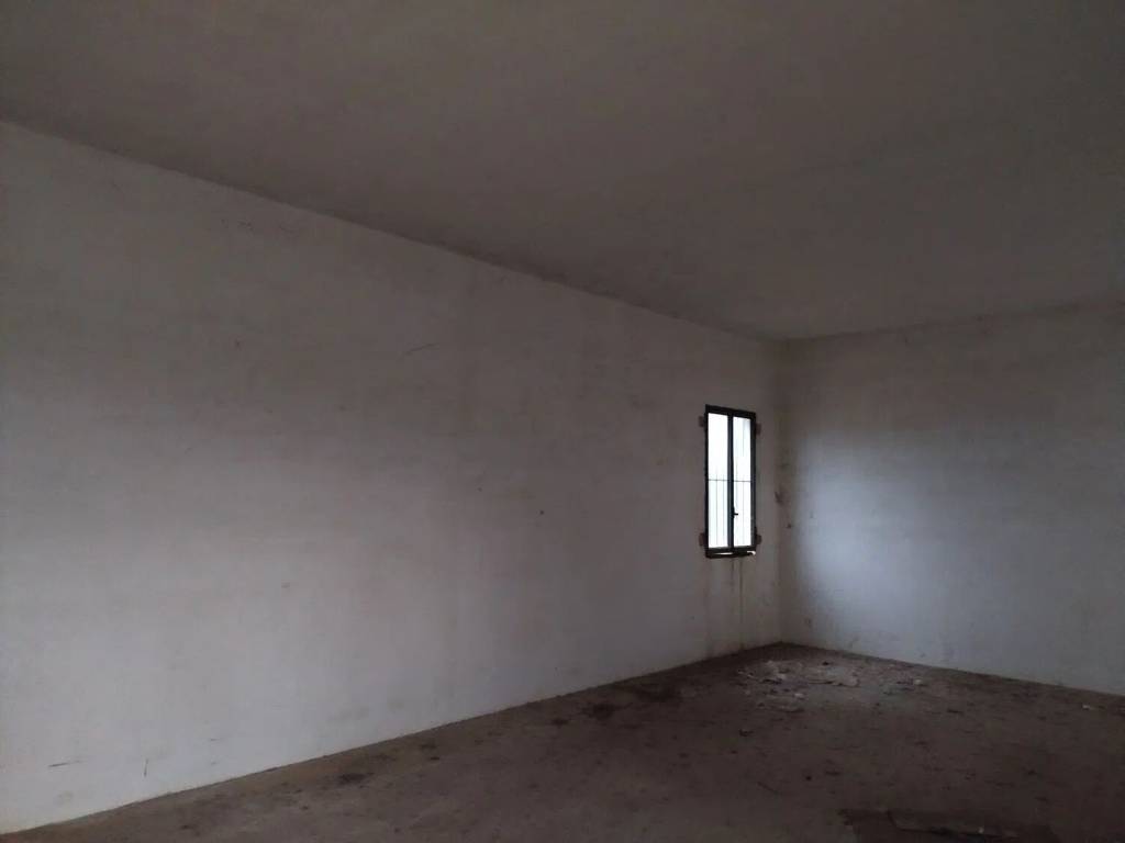Rustico / casale a San donato di lecce in Contrada Piezzo S.N.C. - Foto 3