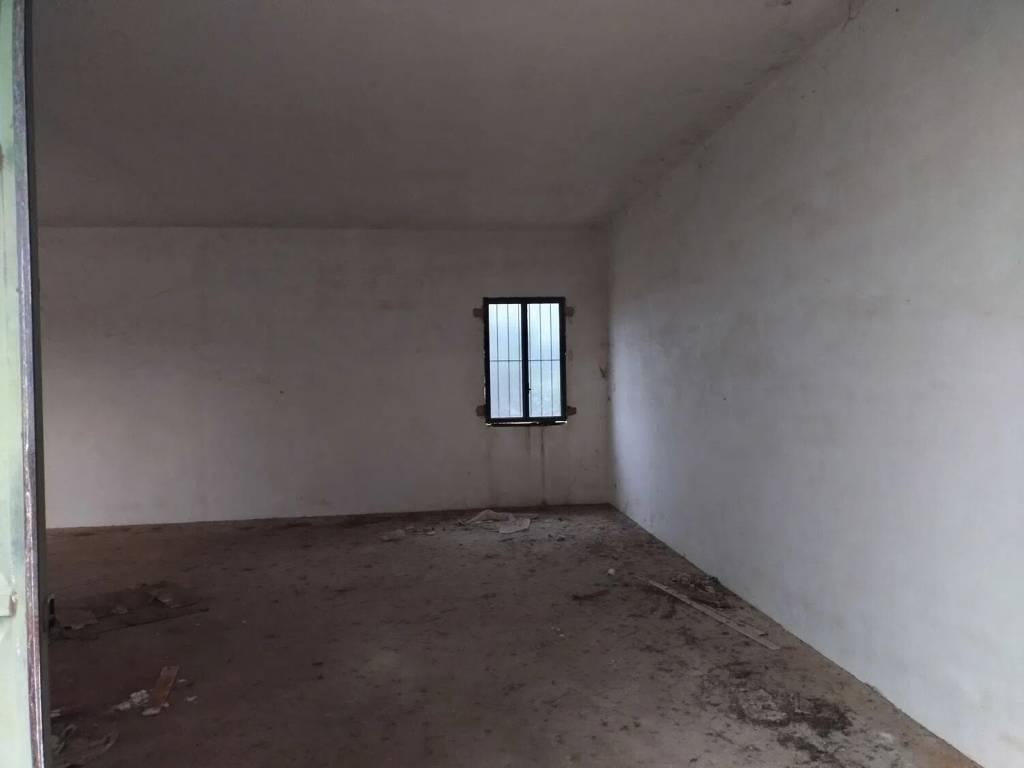 Rustico / casale a San donato di lecce in Contrada Piezzo S.N.C. - Foto 4