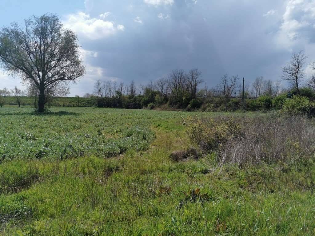 Rustico / casale a Montepulciano - Foto 5