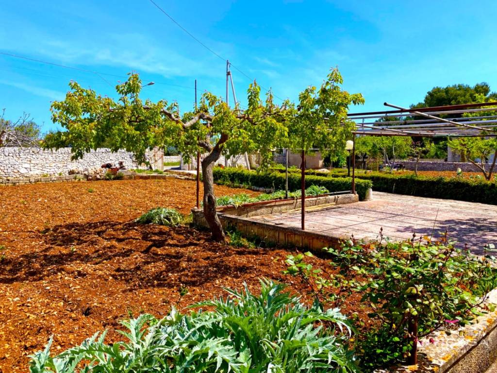 Terreno a Putignano in Via Generale Luigi Sabato - Foto 3