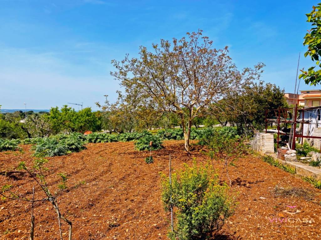 Terreno a Putignano in Via Generale Luigi Sabato - Foto 4