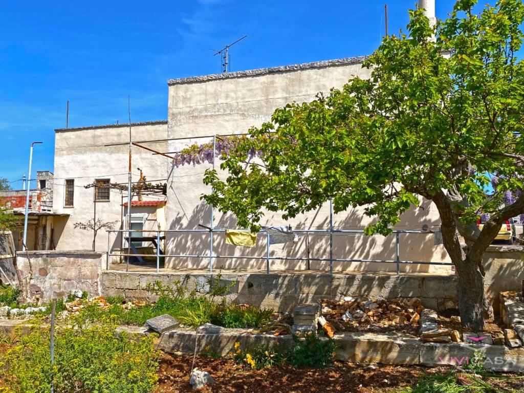 Terreno a Putignano in Via Generale Luigi Sabato - Foto 5
