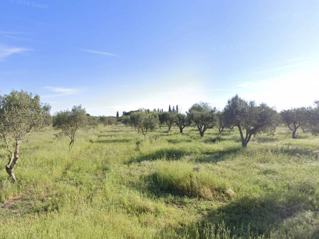 Terreno a Novoli in Via Li Stritti - Foto 3
