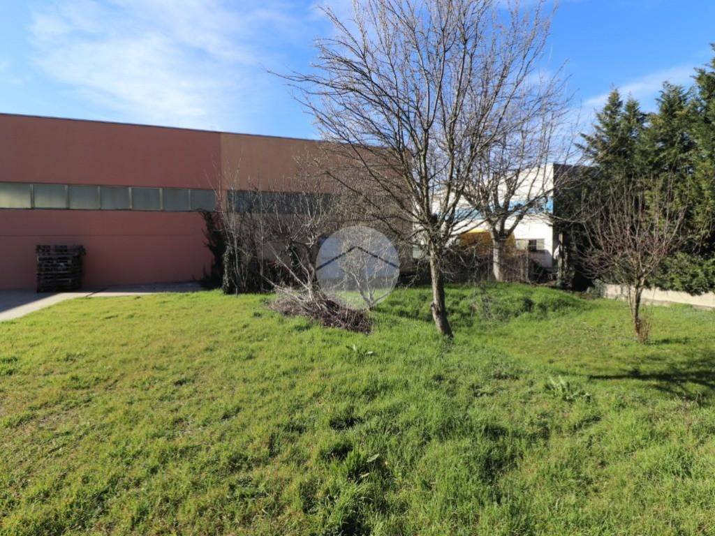 Appartamento a San giorgio bigarello - Foto 4
