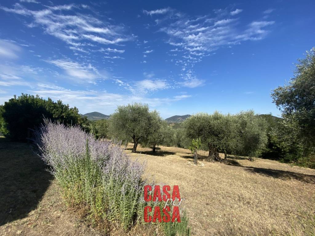 Rustico / casale a Baone - Foto 2