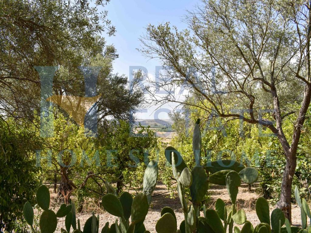 Rustico / casale a Noto in Via Tommaso Fazello, 228 - Foto 4