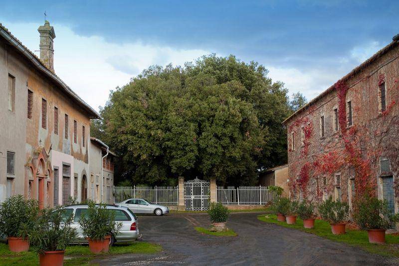 Rustico / casale a Rosignano marittimo - Foto 4