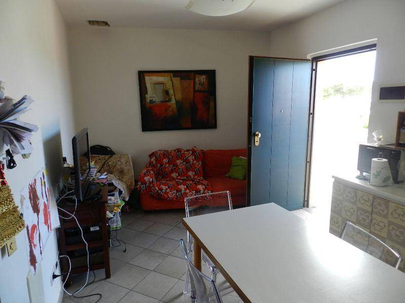 Appartamento a Rosignano marittimo - Foto 4