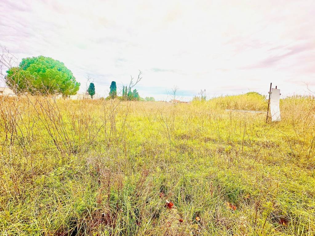 Terreno a Rosignano marittimo - Foto 2