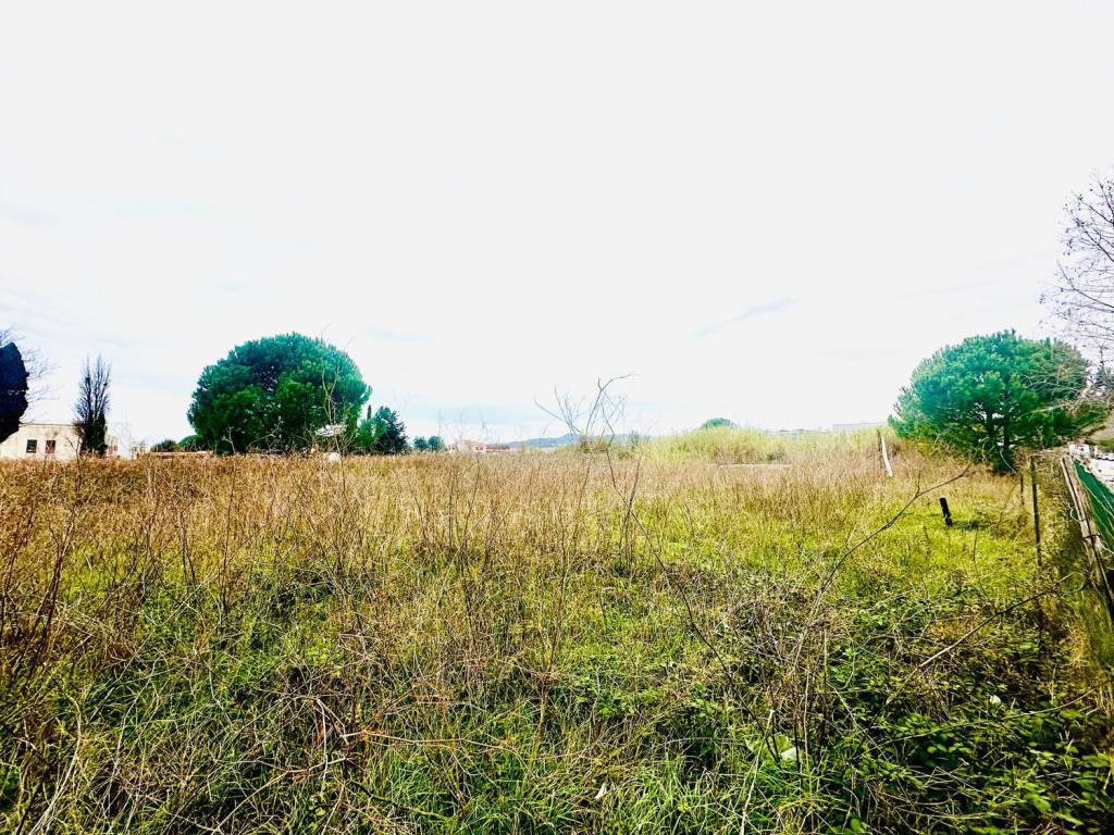 Terreno a Rosignano marittimo - Foto 3